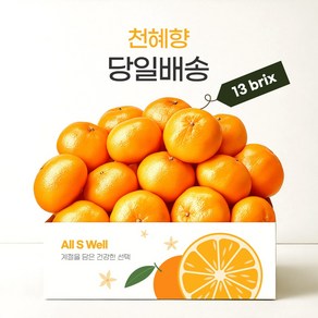 [프리미엄] 13bix 고당도 제주 천혜향 1kg/2kg/9kg 선물용, 1박스, 1kg (4-6과)