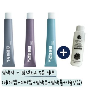 호유 프로마스터 보카시 컬러 염색약 1제+2제80g/빠르고 쉽고 자연스러운 새치커버 염색약, 호유보카시 소프트그레이