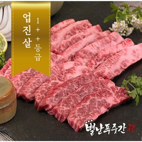 [농협안심한우] 투뿔(1++) 한우 업진살 500g  구이용, 1개