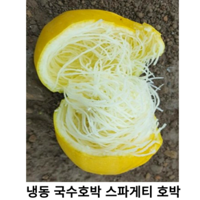 국내산 냉동 국수호박 1kg 2kg 국산 간편한 냉동 스파게띠 호박 스파게티 스쿼시 호박이면 키토식단 다이어트 건강식