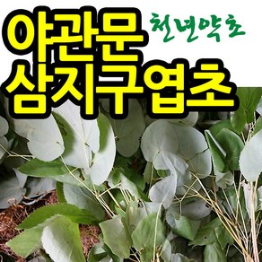 천년약초 자연산 (햇)음양곽 삼지구엽초 50g 음양곽주