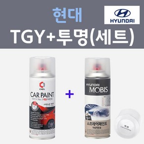 현대 TGY 잉키블루 주문컬러 스프레이 + 모투명마감용스프레이 자동차 카 페인트 200ml