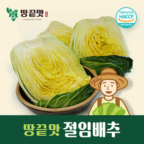 땅끝맛 절임배추20kg 깨끗하고 맛있게 절인 김장배추 해풍맞은 해남배추