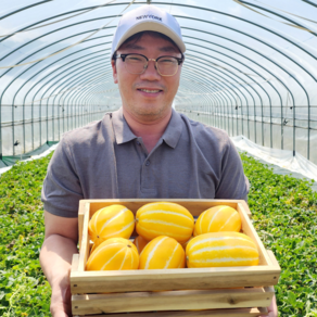 [당도보장] 성주 꿀 참외 못난이 가정용 선물용 산지직송, 랜덤, 혼합 5kg, 1개