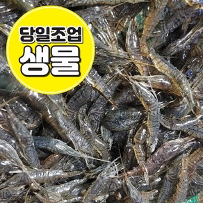 [생물 흑새우] 국내산 민물새우 급냉 500g / 1kg 새뱅이 한국인의밥상 정림새우농장 줄새우 토하 김치양념 새우탕 새우깡