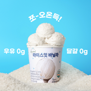 라이스잇바닐라 100% 우유 없이 만든 비건 저당 쌀 아이스크림, 1개, 474ml