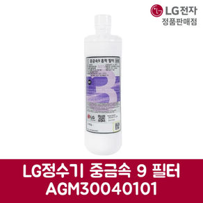 LG전자 엘지 정품 정수기 흡착필터 WD326AWT 모델 순정품, 기본선택, 1개