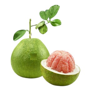 PINK POMELO 베트남 자몽  핑크 포멜로  베트남 그린 자몽 (1과 1.2~1.6kg), 2개