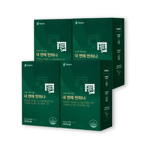[휴온스N 공식] 내 변에 반하나 차전자피 식이섬유 쾌변 다이어트, 195g, 4박스