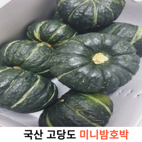 국내산 신선한 고당도 미니 밤호박 1kg 국산 제철 단호박 밤호박 꼬마 단호박 고소하고 달달한 미니 밤호박, 1개, 3kg