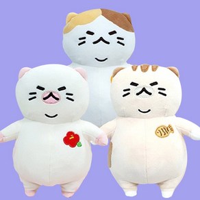 제주 냥이 뚱냥이 땡귤 붕어빵 동백순이 25cm 애착 고양이 동물 인형, 동백순이25cm, 1개