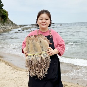 영덕 마른오징어 국산 동해안 건오징어 소중대 5미 10미, 1개, 마른오징어 중 10미 (600g 내외)