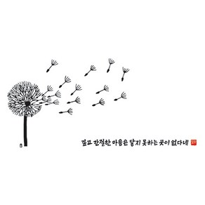 깊고 간절한 다포, 대-백색, 1개