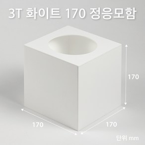 조이사인 정사각 응모함 170x170 / 두께3mm 투표함 모금함 아크릴 상자 매장/진열용품, 1개입, 정응모함 170*170/3T 화이트 [J1703EW]