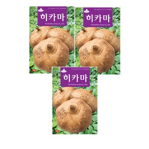 모두다 채소씨앗 히카마씨앗(멕시코감자)(50립), 3개