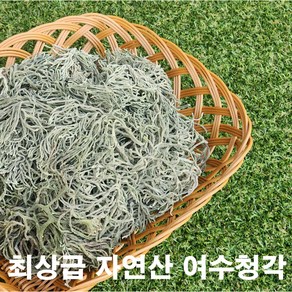 여수청각 자연산 돌청각 햇청각 건청각 500g