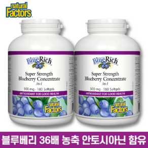 네추럴팩터스 블루베리 추출물 영양제 36배 초고농축 500mg 180소프트젤 캡슐 안토시아닌, 2개, 180정