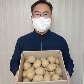 국내산 맛있는 두백 감자 Potato, 1박스, 감자 3kg 중대