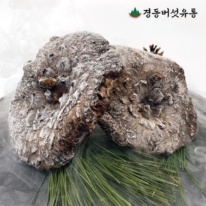 [경동버섯유통 송이 능이] 자연산 능이버섯 / 냉동 1kg 냉동능이/특A급 A급 B급 C급 P급 육수용, 냉동능이 A급 1kg, 1개