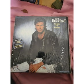 DAVID HASSELHOFF LOOKING FOR FREEDOM LP