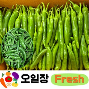 ( 오일장프레시 1호점 ) 국내산 오이고추 아삭이고추 아삭이오이고추 [특등급] 1kg 2kg 3kg 10kg 내외, 1박스, 1kg(특)