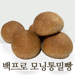 아침에 좋은빵 모닝빵 통밀빵 통밀100%