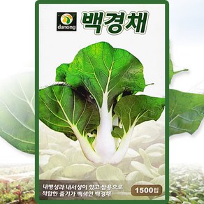 다농 백경채 씨앗 1500립 청경채 씨 쌈채소 종자, 1개