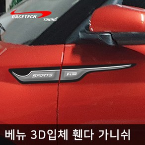 레이스텍 베뉴 스타일리쉬 3D입체 휀다 가니쉬, 1개