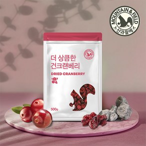 산과들에 건 크랜베리 500g 2봉 1kg 건크랜베리