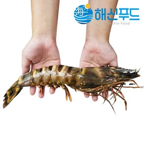 킹 블랙타이거 새우 냉동 왕새우, 1마리 [230g~280g], 1개