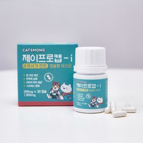 퍼피로캣 반려동물 제이프로캡 아이 캡슐형 영양제, 장건강/유산균, 7.8g, 1개