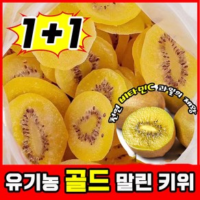 [건강간식] 1+1/2+2/3+3 오가닉 골드 말린 키위 말린것 무첨가 과일말린거 보충 비타민C/항산화/미용 (500g/봉지)