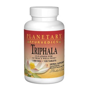 플랜터리 허벌 트라이팔라 1000mg Planetay Hebals Tiphala, 1개, 120정