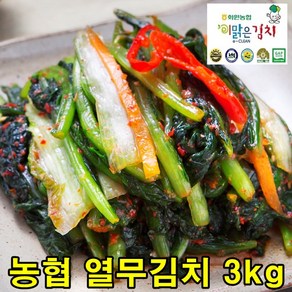 맛있는 열무김치 3kg 담은 국산 생김치, 1개