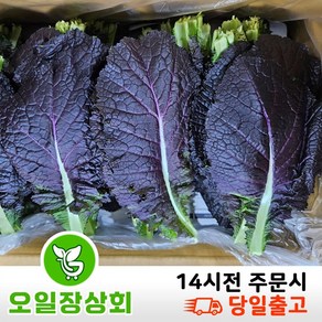 < 오일장 상회 > 국내산 적겨자 2kg내외, 1박스, 1.8kg~2kg