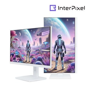 인터픽셀 IPQ2744 QHD NANO IPS 165Hz 27인치 피벗 화이트 게이밍 모니터, IPQ2744(무결점), 68.5cm