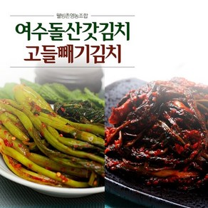 [웰빙촌]여수돌산갓김치1kg+여수고들빼기1kg, 1세트