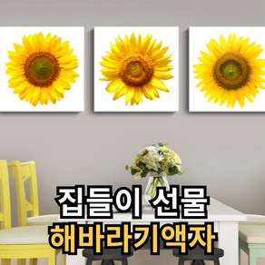 행운앤 해바라기 그림 액자 집들이 금전운 인테리어 캔버스 풍수 부자되는그림, B