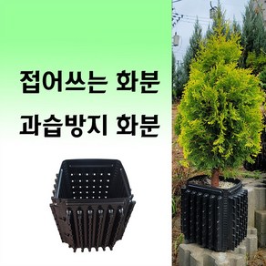 트리웰화분 9리터 (20cm*20cm*27cm) 접이식 과습방지 화분/ 조경수 유실수 화훼 육묘용 (100개 1박스)