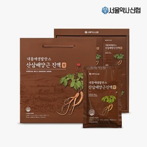 내몸애 생발란스 산삼배양근 진액 70ml 30포(슬라이드), 2.1L, 1개