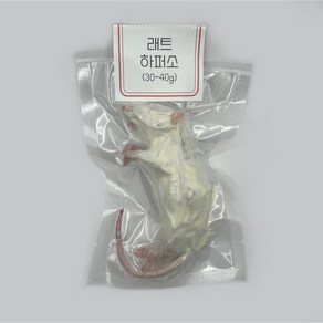 냉동 래트 레트 렛 1마리 [하퍼 소] 30~40g (진공포장), 1개, 35g