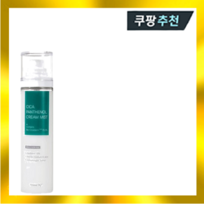 앤서나인틴 시카 핀테놀 크림 미스트 120ml