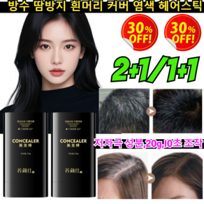 2+1/1+1 방수 땀방지 흰머리 커버 염색 헤어스틱 프롱 감쪽 헤어 새치 커버 틴트 스틱 헤어 퍼프섀도 20g 10초 조작, [1+1]01 내추럴블랙/TOP.1