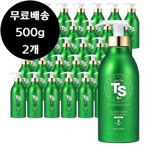 티에스 티에스 골드플러스 TS 샴푸 500g x 2개 탈모 샴푸