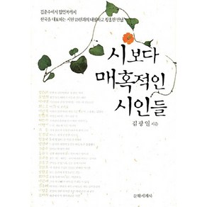 NSB9788970754376 새책-스테이책터 [시보다 매혹적인 시인들]-문학세계사-김광일 지음-작가론-20081024 출간-판형 152x223(A, 시보다 매혹적인 시인들