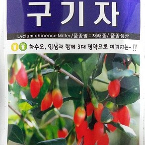 [가람종묘사] 구기자 씨앗(하수오 인삼과 함께 3대 명약으로 여겨지는 식물), 1개