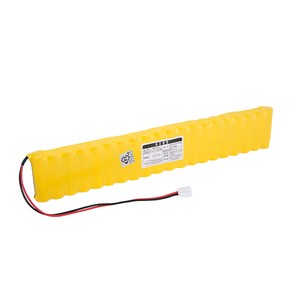 케이원 포레소 소방예비전원 DC 24V AA 900mAh (1x20), 1개