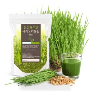 청정 국산 새싹보리 제주새싹보리분말 가루 300g, 제주도새싹보리분말 170g(병), 1개