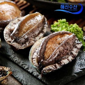 해신수산 완도활전복 15-16미 1kg, 1개