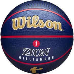 WILSON 윌슨 에볼루션 실내게임 농구공 사이즈 5 6 7, USA, Size 7 - 29.5